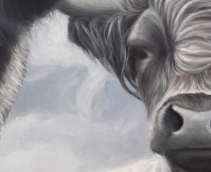 A limited edition giclee canvas print featuring two highland cows in a natural landscape with a predominantly gray and white color palette. Wildlife art by James Corwin.