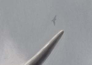 A limited edition giclee canvas print featuring two highland cows in a natural landscape with a predominantly gray and white color palette. Wildlife art by James Corwin.