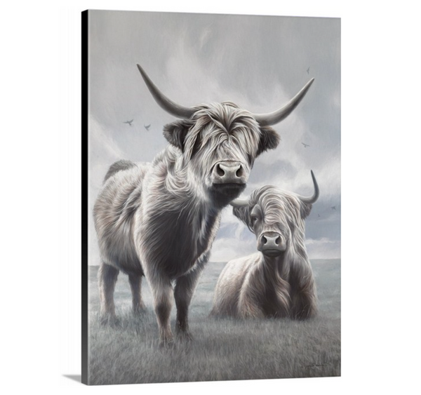 A limited edition giclee canvas print featuring two highland cows in a natural landscape with a predominantly gray and white color palette. Wildlife art by James Corwin.