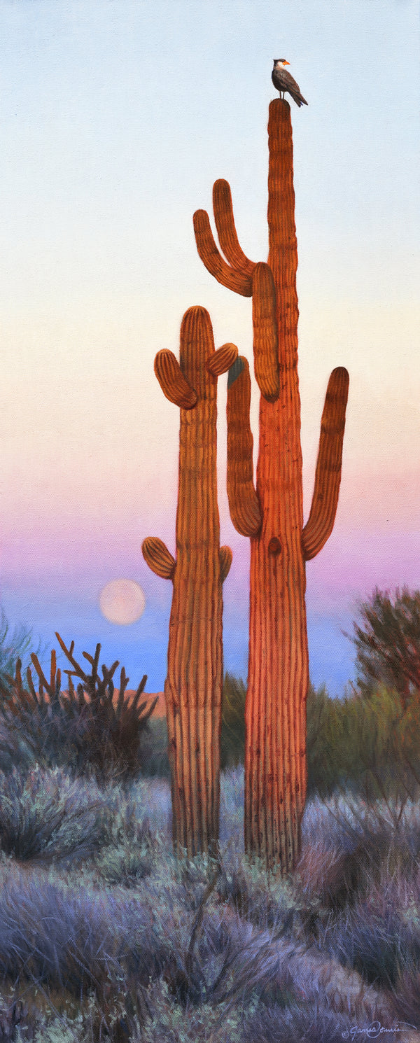 Desert Lookout