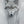 A limited edition canvas print titled 'Ghost II' featuring a white wolf in a misty snowy environment, oil painting by wildlife artist James Corwin.