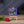 Green Birdwing