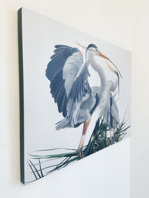 A canvas print featuring two great blue herons in an elegant pose, building a nest with detailed feathering and a contemporary background by wildlife artist James Corwin oil painting. Hanging in living room wall art home decor.