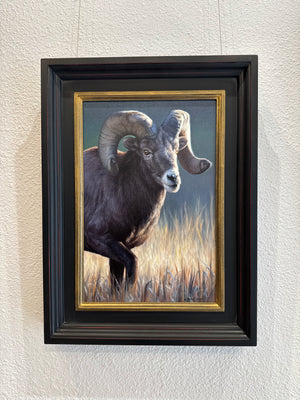 Ram Study II