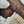 Ravens of Joshua Tree