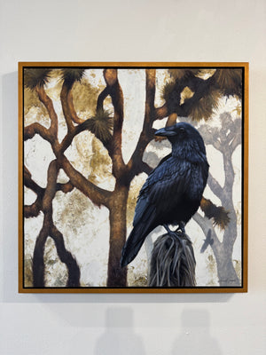 Ravens of Joshua Tree