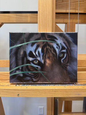 The Eyes of a Tiger
