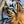 The Watchful Tiger