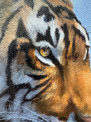 The Watchful Tiger