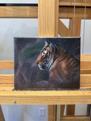 A Tiger in Fading Light