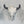 A canvas giclee print of a bison skull, with a misty, soft-focus background of ghostly Yellowstone buffalo, part of a limited edition art oil painting by Montana widllife artist James Corwin.