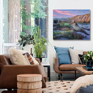 A canvas print painting featuring a realistic depiction of a coyote in a desert wildflower field during sunset by wildlife artist James Corwin. Hanging in home, wall decor.