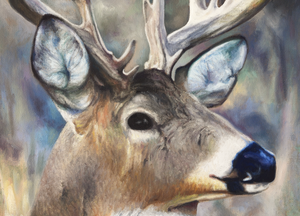 A whitetail buck and pheasant oil painting as a limited edition print on canvas by wildlife artist James Corwin.