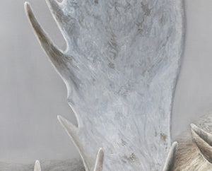 The sentinel bull moose oil painting by wildlife artist James Corwin based in Montana as a limited edition giclee canvas print.