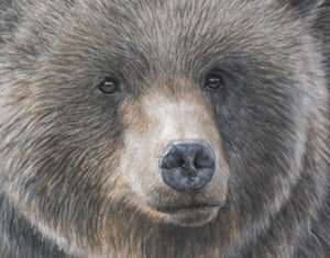 Limited Edition Giclee Canvas Print of a grizzly bear walking among beargrass in mist and fog by wildlife artist James Corwin.