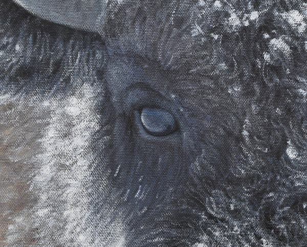 Limited Edition Giclee Canvas Print of an American Bison in winter snow, titled 'Reverence' by wildlife artist James Corwin. Yellowstone buffalo art. Detail of eye.