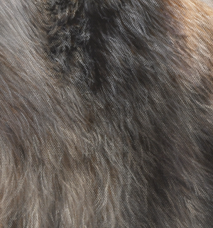 An oil painting of a grizzly bear looking at a rufous hummingbird as a limited edition giclee canvas print by wildlife artist James Corwin.