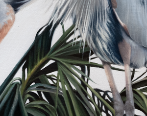 A canvas print featuring two great blue herons in an elegant pose, building a nest with detailed feathering and a contemporary background by wildlife artist James Corwin oil painting.