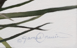 A canvas print featuring two great blue herons in an elegant pose, building a nest with detailed feathering and a contemporary background by wildlife artist James Corwin oil painting.