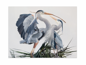 A canvas print featuring two great blue herons in an elegant pose, building a nest with detailed feathering and a contemporary background by wildlife artist James Corwin oil painting.