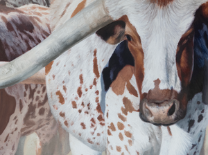 A canvas print of a herd of Texas longhorns marching through dust, presented in a western style oil painting. y wildlife artist James Corwin.