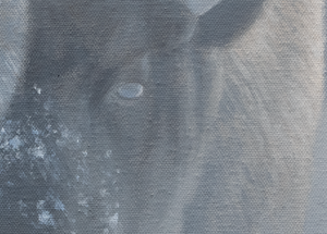 A canvas print depicting a herd of Yellowstone bison in a misty snowy landscape. Oil painting artwork 'Giants in the Mist IV' by wildlife artist James Corwin.