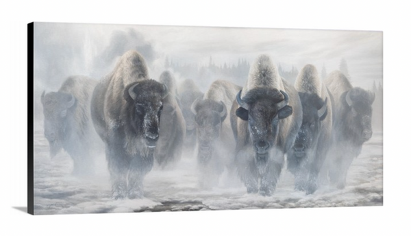 A canvas print depicting a herd of Yellowstone bison in a misty snowy landscape. Oil painting artwork 'Giants in the Mist IV' by wildlife artist James Corwin.