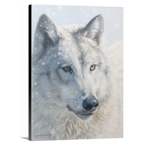 A canvas print featuring a wolf in snow, with a blurred background by wildlife artist James Corwin.