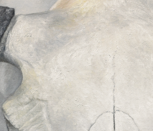 A canvas giclee print of a bison skull, with a misty, soft-focus background of ghostly Yellowstone buffalo, part of a limited edition art oil painting by Montana widllife artist James Corwin.