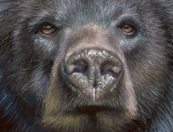 Bumblebee Bear by wildlife artist James Corwin. A Painting of a black bear with a colorful textured background. Detail of fur and brushstrokes.