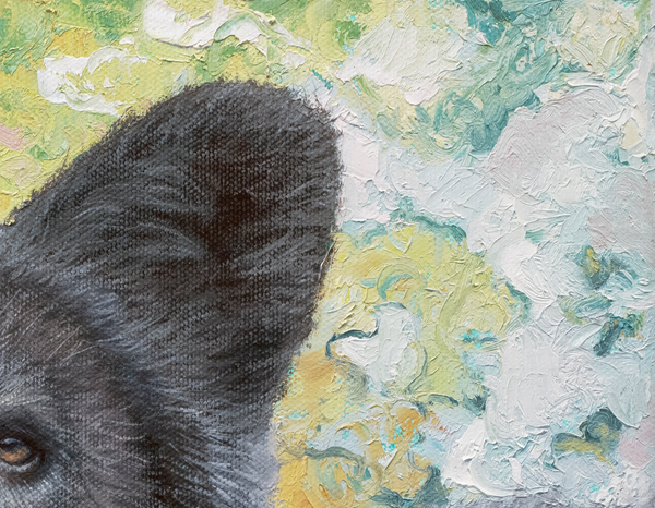 Bumblebee Bear by wildlife artist James Corwin. A Painting of a black bear with a colorful textured background. Detail of palette knife texture.