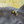 Bumblebee Bear by wildlife artist James Corwin. A Painting of a black bear with a colorful textured background. Detail of bee.