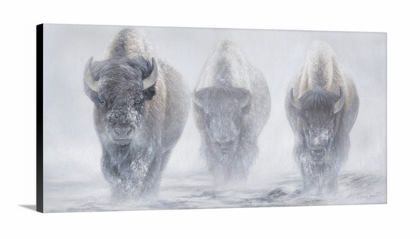 A giclee canvas print of three yellowstone bison in a misty winter setting from an oil painting by James Corwin wildlife artist.