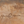 A western art print of Texas Longhorns cattle along the Chisholm trail from the Stockyards, against a dusty trail background. An oil painting by wildlife artist James Corwin.