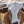 A western art print of Texas Longhorns cattle along the Chisholm trail from the Stockyards, against a dusty trail background. An oil painting by wildlife artist James Corwin.