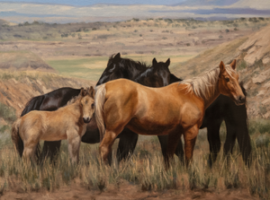 Shadows on the Mountain