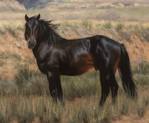 Shadows on the Mountain