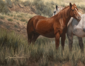 Shadows on the Mountain