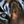 The Eyes of a Tiger