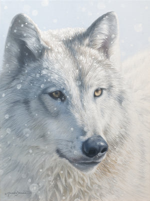 A canvas print featuring a wolf in snow, with a blurred background by wildlife artist James Corwin.
