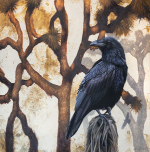 Ravens of Joshua Tree