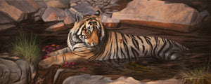 A Bathing Beauty