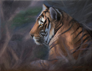 A Tiger in Fading Light