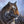 The Watchful Tiger