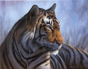 The Watchful Tiger