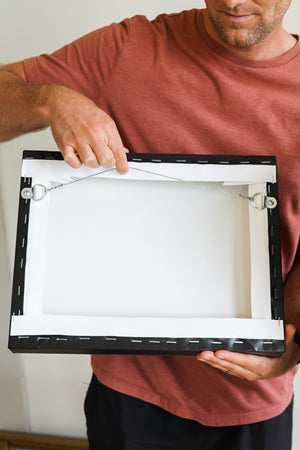 The Big and the Small