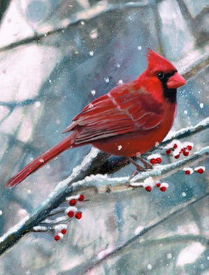 Paint Nights with James - Tickets