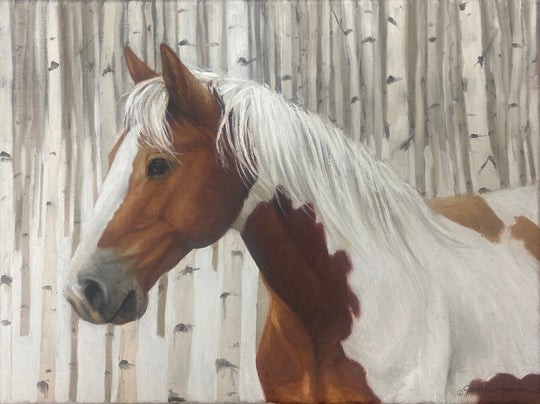 Pinto in Aspens - Oil on Canvas