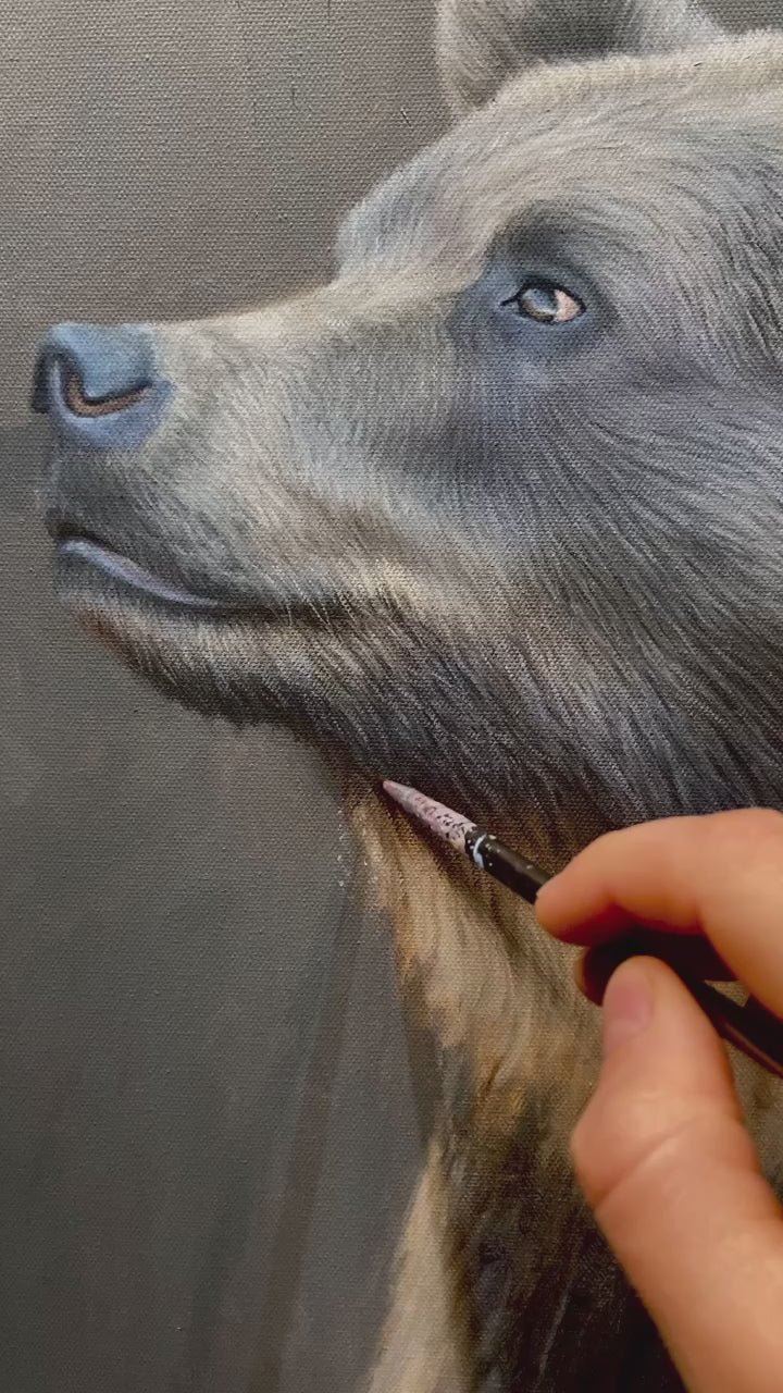 An oil painting of a grizzly bear looking at a rufous hummingbird as a limited edition giclee canvas print by wildlife artist James Corwin.