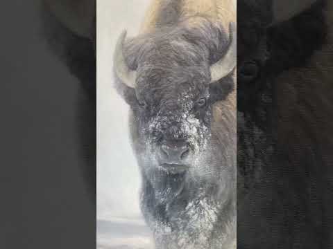 A giclee canvas print of three yellowstone bison in a misty winter setting from an oil painting by James Corwin wildlife artist.